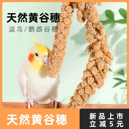 Попугай натуральные уши с оболочкой желто -зерно просо Черный Phoenix Tiger Skin Специальные продукты кормить жемчужные птичьи закуски