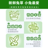 再再 Люцерна трава молодые кроличьи кроличье зерно для фиолетового цветочного пищи