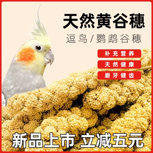 Попугай натуральные уши с оболочкой желто -зерно просо Черный Phoenix Tiger Skin Специальные продукты кормить жемчужные птичьи закуски