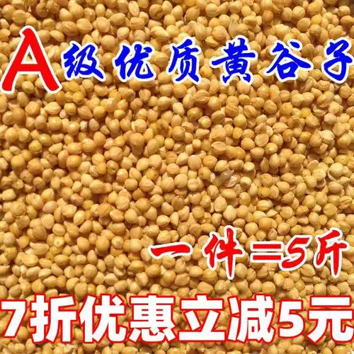 Новое желто -зерно с раковиной просо тигр кора пион черный феникс Маленький и средний.