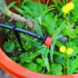 Капельный ирригационный ремень может быть отрегулирован автоматическим поливным каплом капель