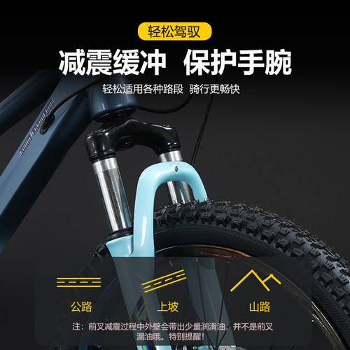 上海凤凰儿童山地车自行车18寸20寸22寸变速车男女学生青少年单车 - 图1
