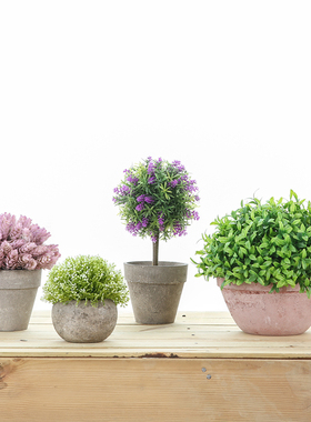 迷妆北欧家居仿真植物小盆景绿植
