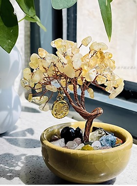 雍和门发财树聚宝盆天然摆件