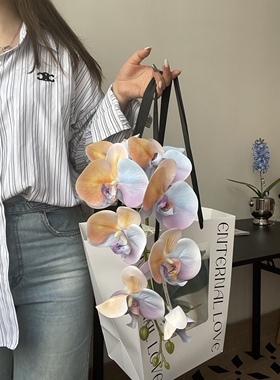 假花仿真花摆设蝴蝶兰盆栽塑料花束办公室假绿植客厅装饰品小摆件