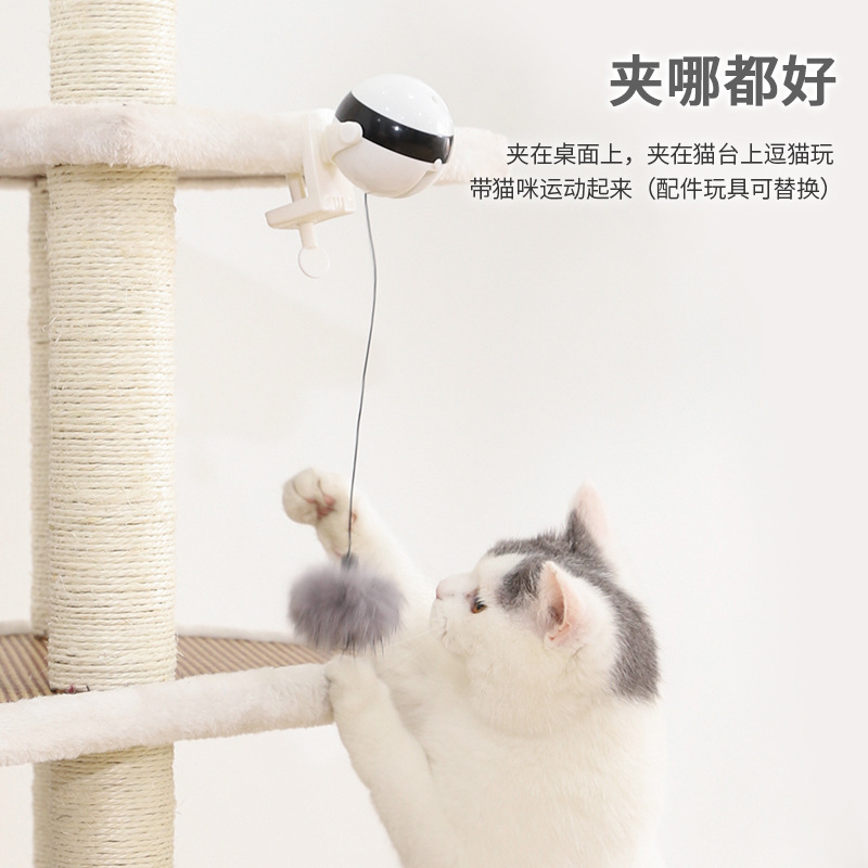 猫猫磨牙球小猫玩具猫玩具球自嗨逗猫棒电动自动逗猫球升降球猫咪-图2