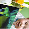 King plastic sealing film 6 inch photo film plastic sealing film high transparency