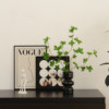 TV cabinet decorations, living room light luxury, high-end vase decoration paintings, room renovation small items, home decorations, good items
