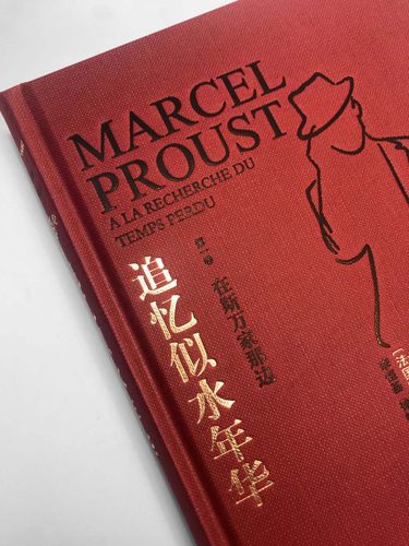追忆似水年华 普鲁斯特全套7册硬壳精装全新珍藏版世界名著文学许渊冲翻译外国小说作品集文学回忆体长篇小说世界名著译林正版现货 - 图2