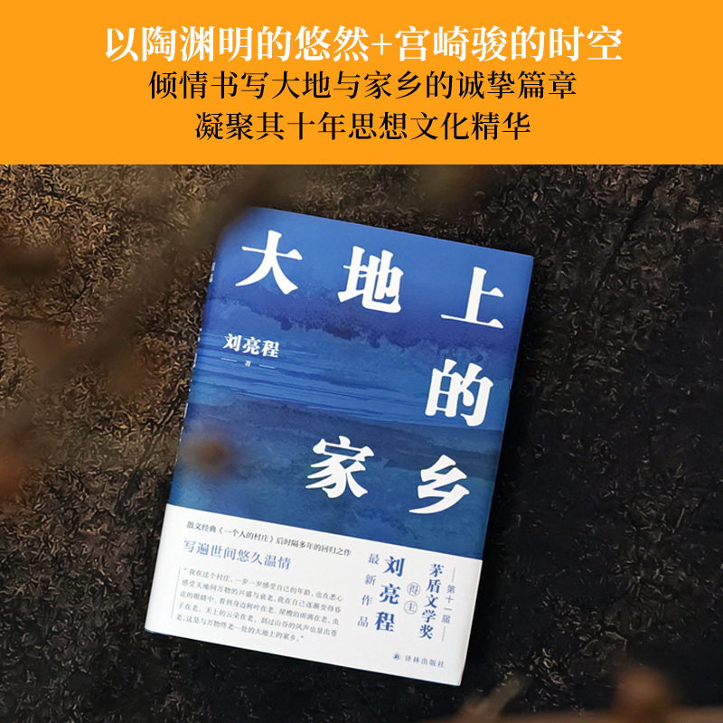 大地上的家乡 签章版 茅盾文学奖获奖者刘亮程获奖后作品豆瓣高分散文作品集文学小说 当代文学散文随笔书籍畅销图书正版译林 - 图1