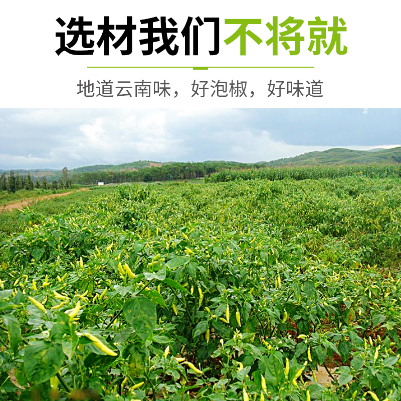 泡椒小米辣云南特产新鲜野山椒剁椒老坛泡椒凤爪泡菜母水商用10斤-图3