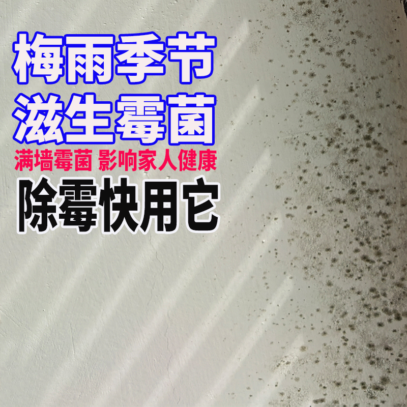 日本进口除霉剂持久防霉喷雾洗衣机去霉斑霉菌墙体墙面发霉清洁剂-图0