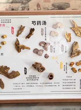 小号医院诊所中药挂画装饰画方剂标本木框中草药教学展馆道地原药