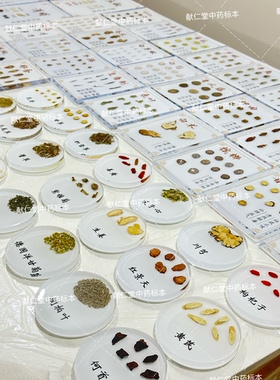 圆形独立树脂包埋中药标本可开发票中医馆装饰画可定制中医展示