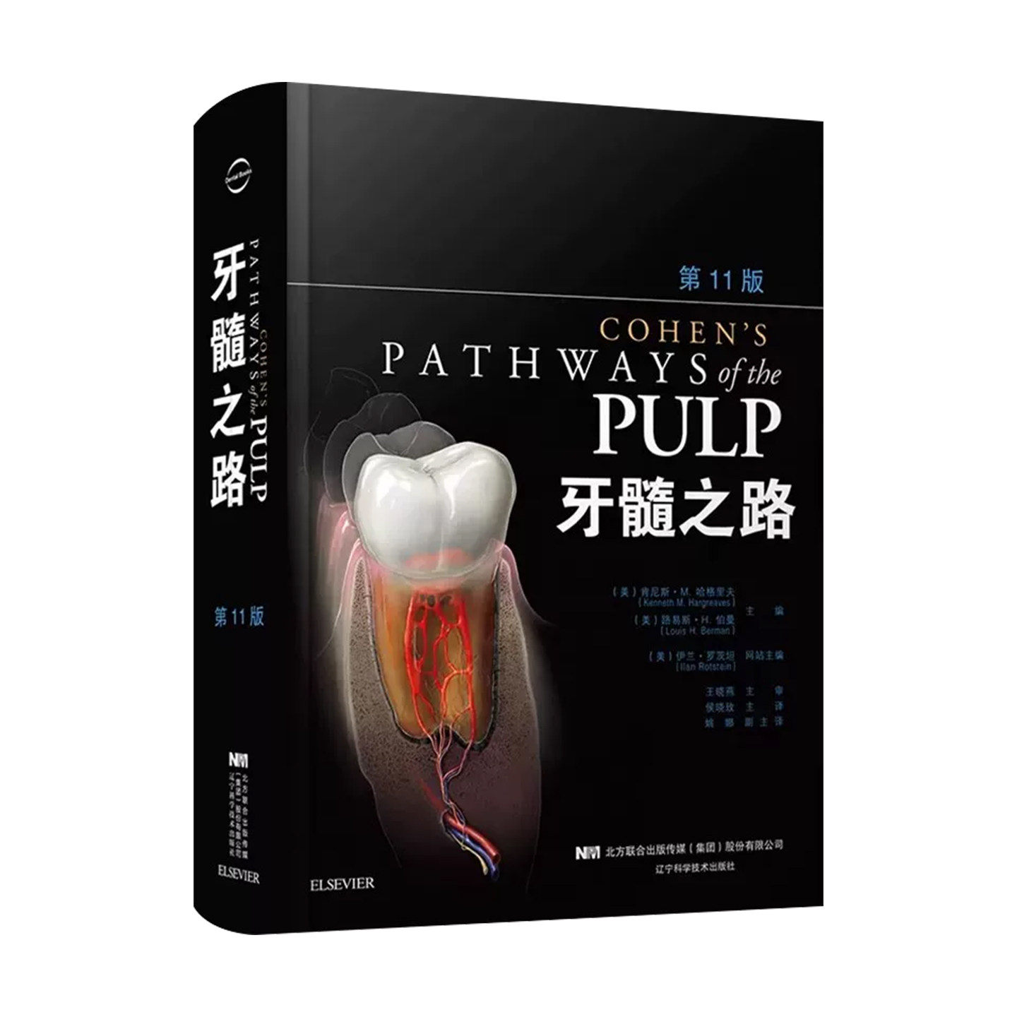 任选 牙髓之路第11版 侯晓玫 根管治疗图谱正畸书籍拔牙技巧 根管治疗书籍口腔种植书籍 口腔医学书籍牙科书籍 辽宁科学技术出版社