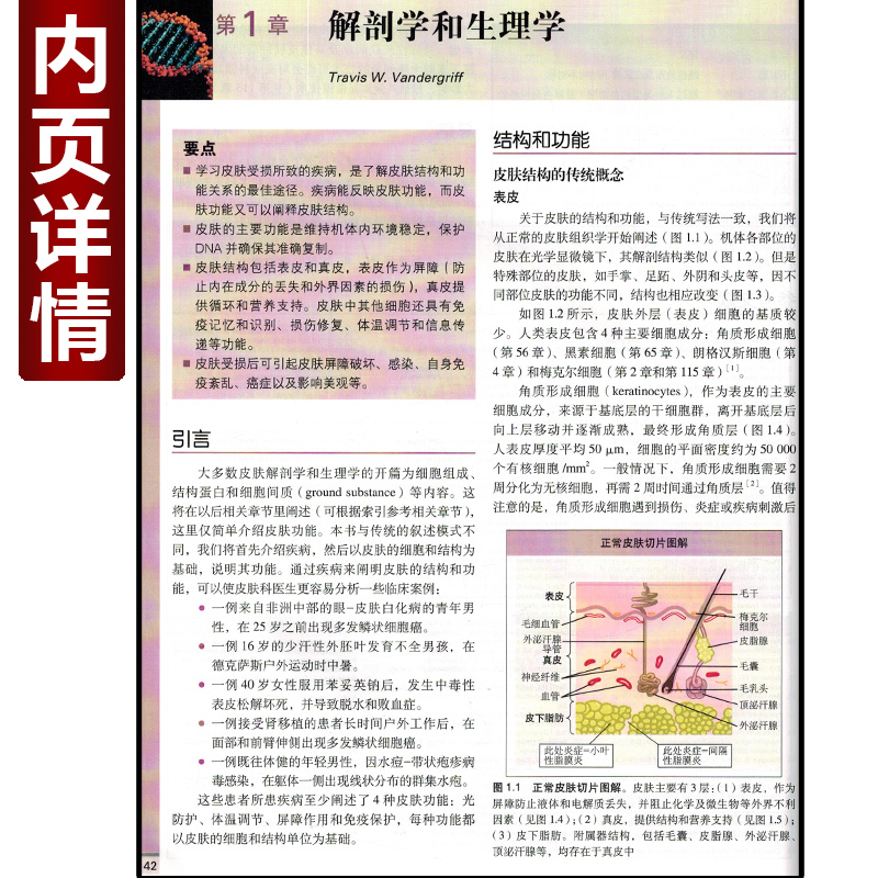 正版5册 皮肤病学第四版 临床皮肤病学第4版简装 朱学骏 王宝玺 孙建方 皮肤科医学书籍 皮肤病书籍 皮肤科书籍北京大学医学出版社