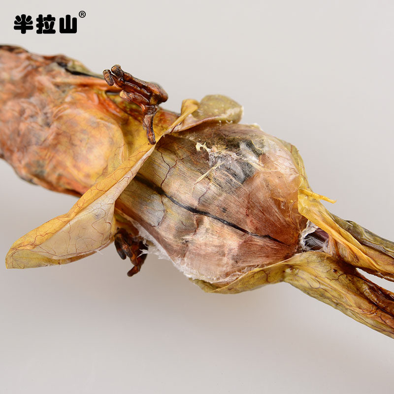 半拉山13gx5只东北整只正品雪蛤干 半拉山雪蛤干
