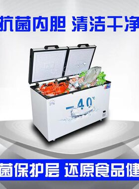 冰熊铜管零下40度超低温冷冻冰柜