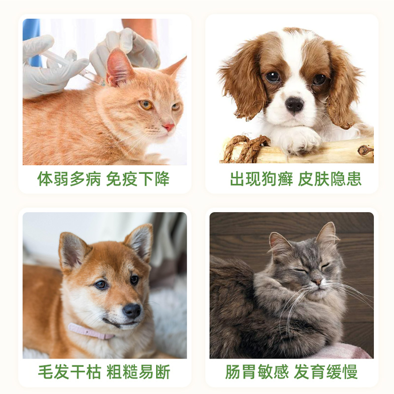 诚实一口猫犬用猫藓复合维生素补充多种维生素B美毛免疫力促消化 - 图1