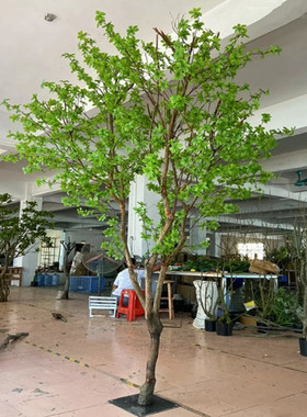 仿真绿植造景室内落地摆件吊钟装饰假树挂墙高端轻奢橱窗倒挂植物