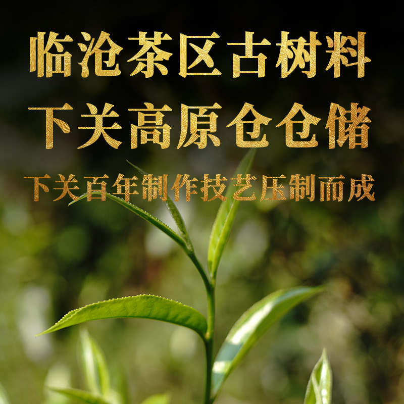 下关沱茶金印南诏朱雀古树饼茶普洱熟茶饼2017年357g茶叶醇绵丝滑-图3