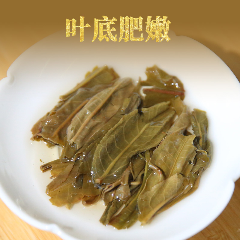 下关沱茶 帕沙古茶 普洱生茶 2023年 茶叶357g - 图3