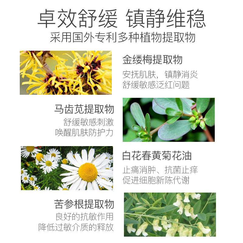 丝纯女补水保湿水收缩毛孔爽肤水 丝纯化妆水/爽肤水