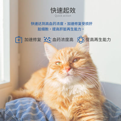 猫咪黄疸猫腹水猫传腹肾衰竭补血肝精狗肝炎胰腺炎丹诺肝硬化中药_虎窝淘