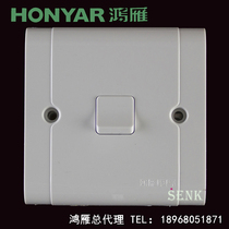 Hangzhou Hongyankang residence A series 86-type open and two-way switch thumb single link double control A86K12-10B