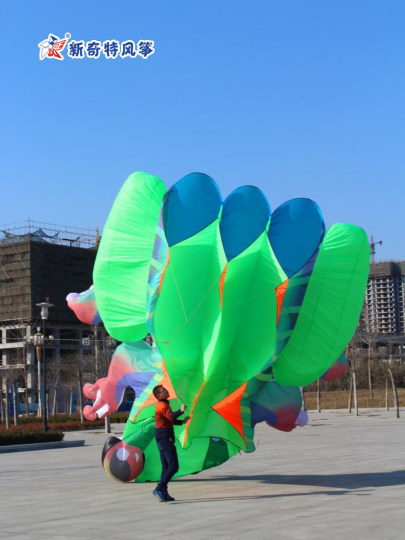 新奇特大型软体高档风筝成人儿童青蛙无骨架微风易飞方便携带新品