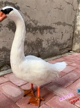 室内影视拍摄道具舞台装饰摆件