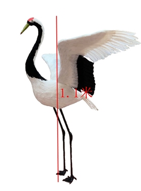 丹顶鹤模型家居朱鹮羽毛园林装饰室内白鹭展翅飞翔仙鹤手工艺品