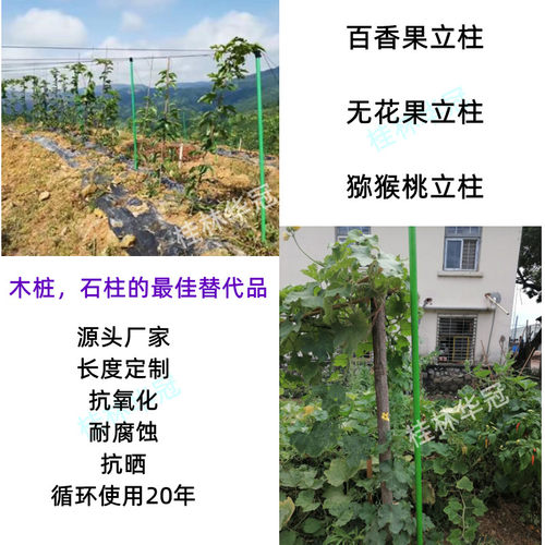 玻璃纤维管温室大棚骨架百香果立柱高强度包毡玻璃纤维杆支架 - 图3