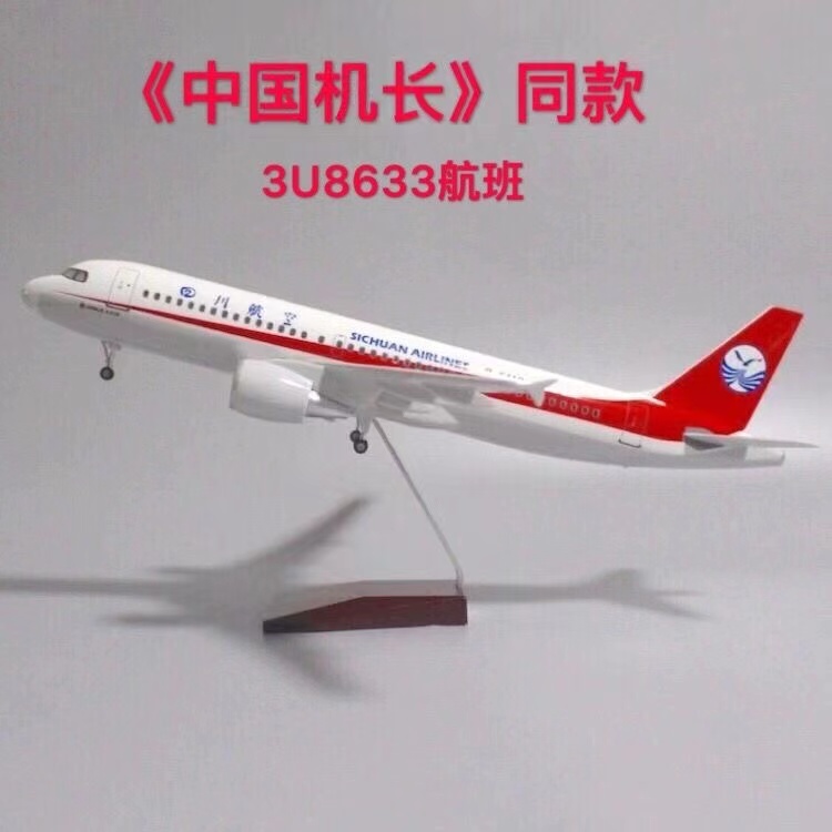 47公分空客A319带灯带轮3U8633中国机长原型机B-6419飞机航模 - 图0