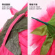Peony flower dance props children's stage performance hand flower square dance hand flower sports meeting entrance creative props