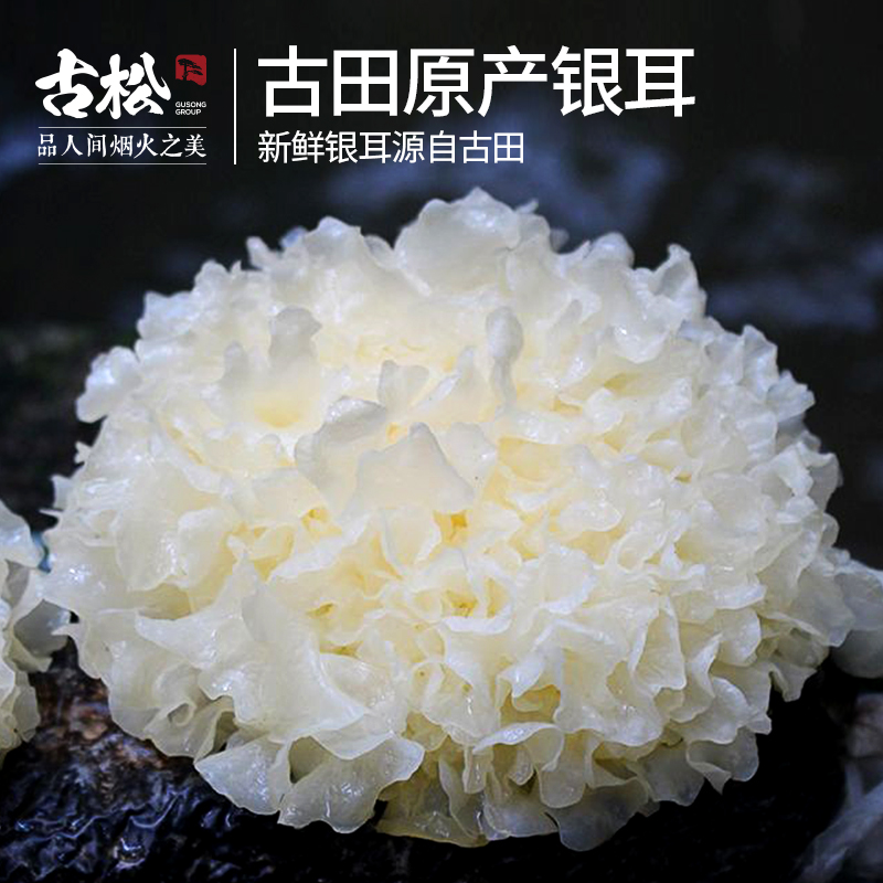 古松旗舰店古松 古田新鲜银耳活鲜雪耳非干货白木耳糯莲子羹材料6朵盒装500g1