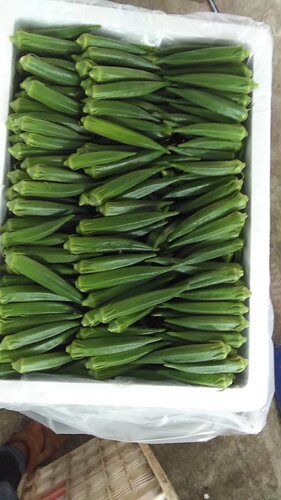 黄秋葵专用物理气调保鲜袋蔬菜袋果蔬塑料防雾袋30斤装，100个 - 图1