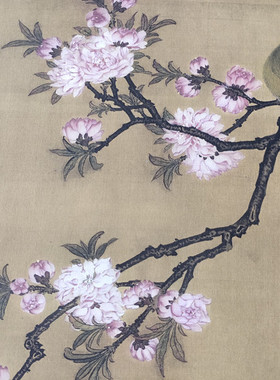 清高其佩桃花白头图花鸟画国画微喷复制学习临摹名家书画白描画稿