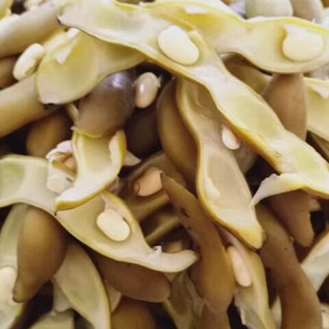 25年新货上市新鲜虎老豆广东梅州客家特产带皮狗爪豆真空包装 - 图2