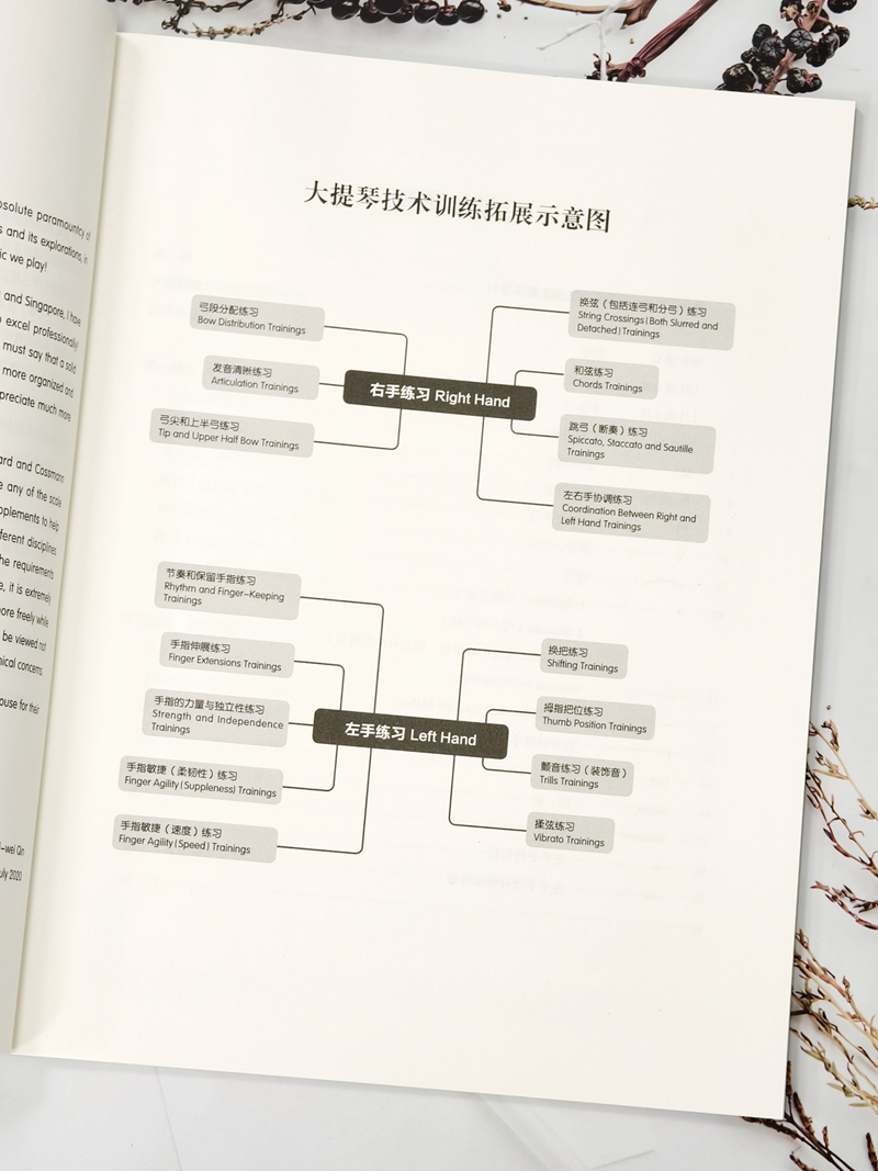 大提琴双手技能练习汇编扫码赠送视频秦立巍主编江鹤副主编上海音乐出版社自营-图2