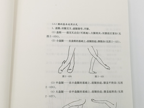 中国汉唐古典舞基训教程 孙颖主编 上海音乐出版社自营 - 图3