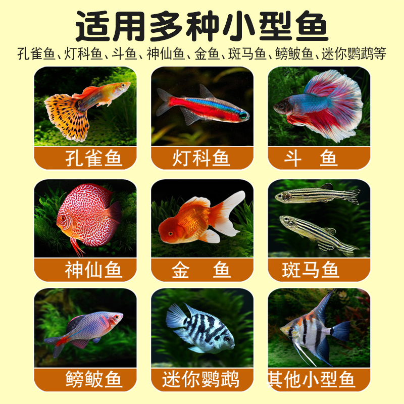 孔雀鱼饲料斗鱼鳑鲏鱼小型热带鱼粮凤尾鱼斑马鱼小颗粒金鱼小鱼食 - 图0