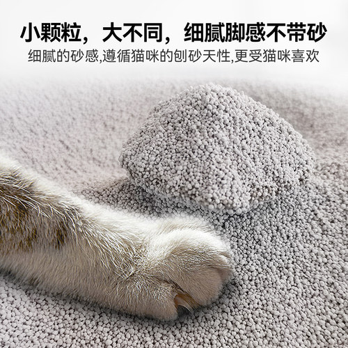 星韵猫膨润土猫砂10kg包邮柠檬小米沙低尘小颗粒广东广州发货20斤 - 图1