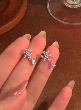 雪花银针耳钉女2023年新款精致高级感耳环轻奢小众设计冷淡风耳饰