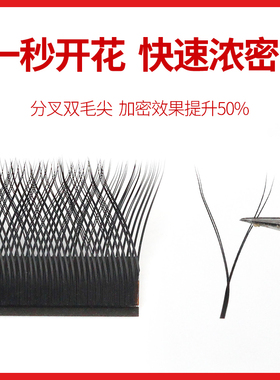 火焰嫁接睫毛开花不散根芭比自然