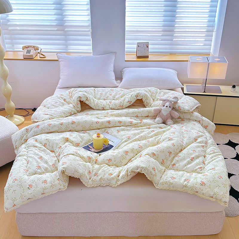 A类双层纱大豆纤维被春秋被冬被学生宿舍被子单双人空调被夏凉被,淘宝优惠券,粉丝福利购,淘宝优惠卷