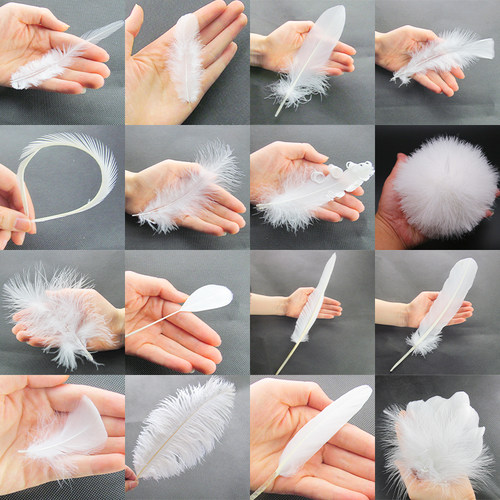 diy白色手工羽毛大小号各种款集合舞台婚庆饰品配件工艺装饰辅料 - 图0