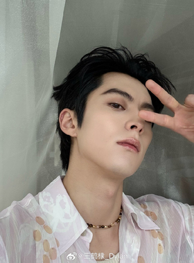 王鹤棣同款虎睛石项链925纯银镀18k真金天然石锁骨链明星同款