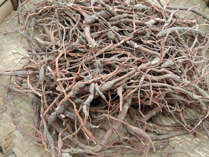 贵州中草药材鸡筋参干货 野生黄脚鸡黄鸡胖长叶数珠根黄鸡郞包邮