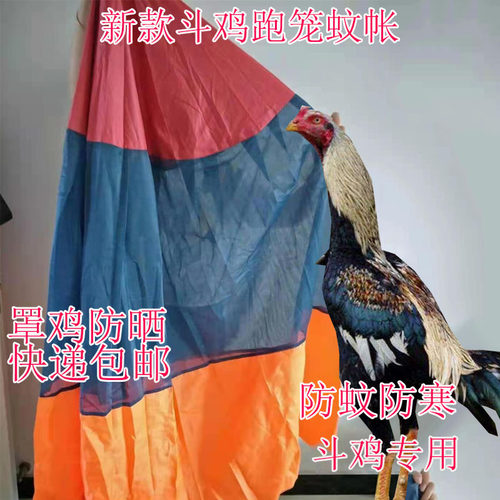 斗鸡蚊帐 斗鸡防寒用品 斗鸡防寒蚊帐 斗鸡训练用品 泰国斗鸡用品 - 图2